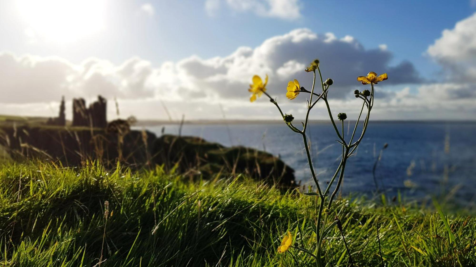 Self-Catering Lighthouse Keeper'S Cottage On The Nc500 Wick  Exterior foto